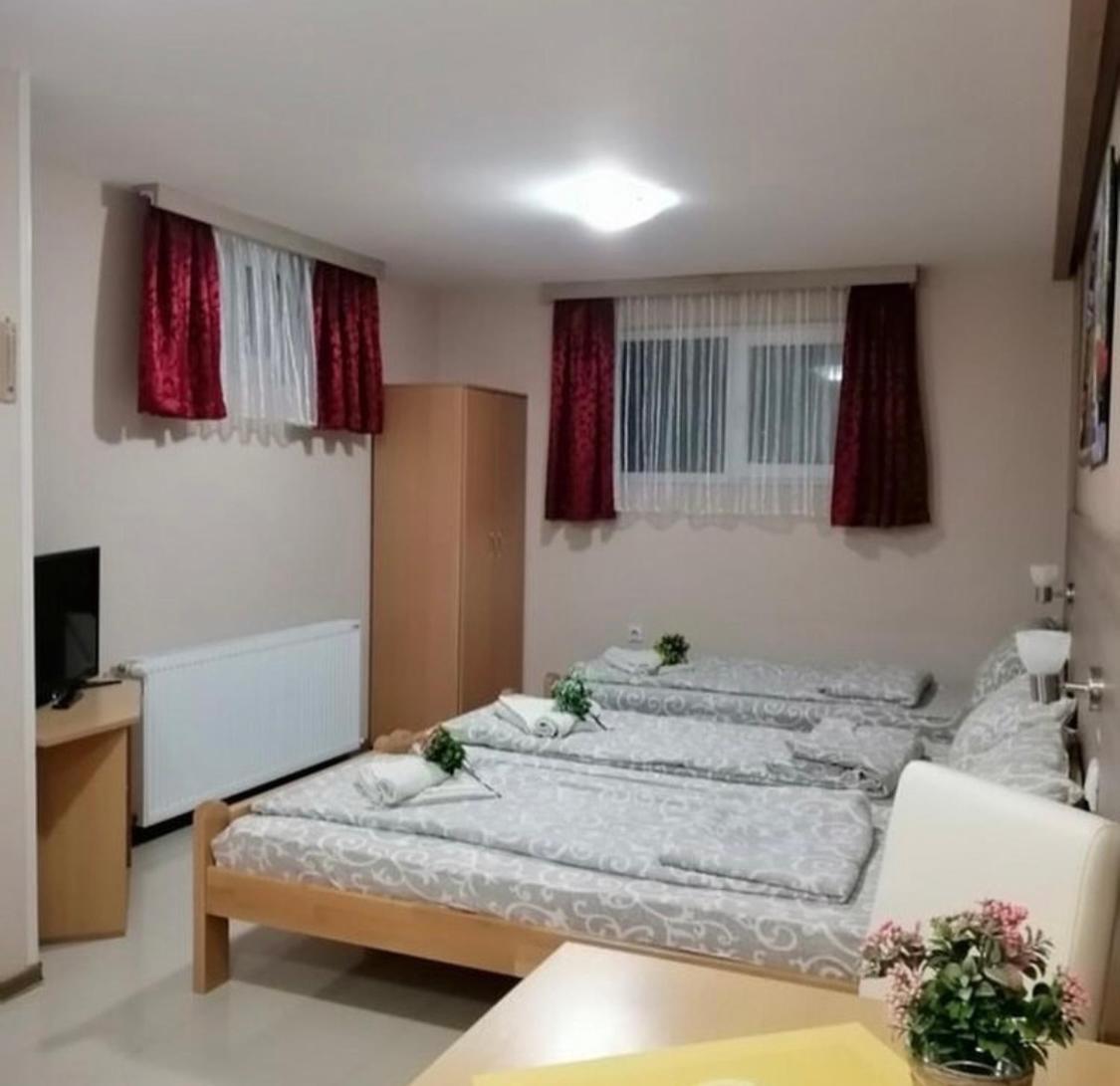 Konak Vila Mirkovic Sokobanja Buitenkant foto