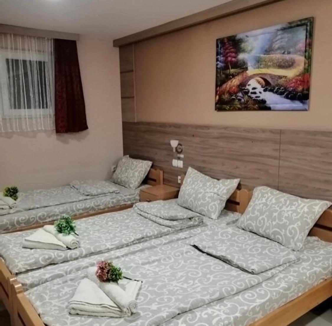 Konak Vila Mirkovic Sokobanja Buitenkant foto