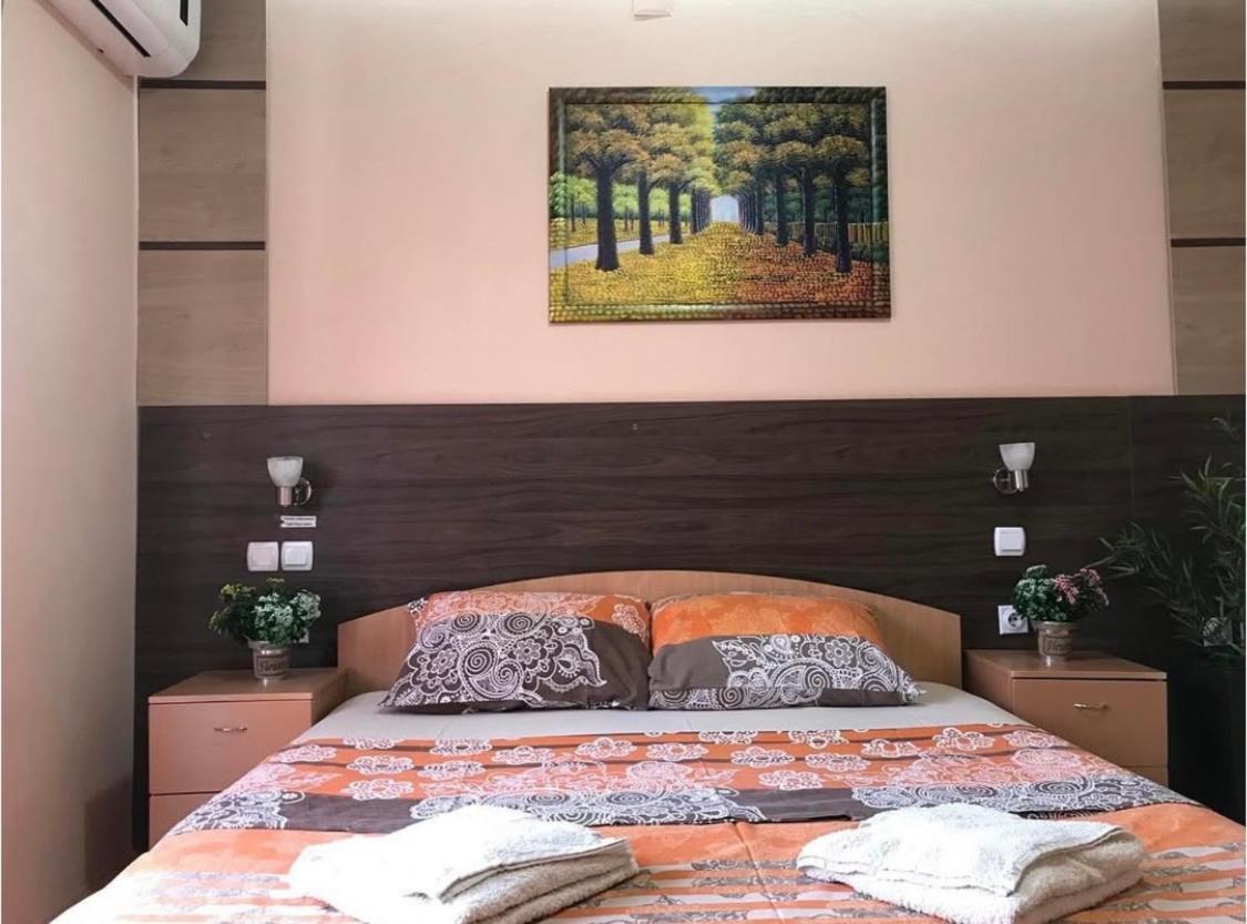 Konak Vila Mirkovic Sokobanja Buitenkant foto