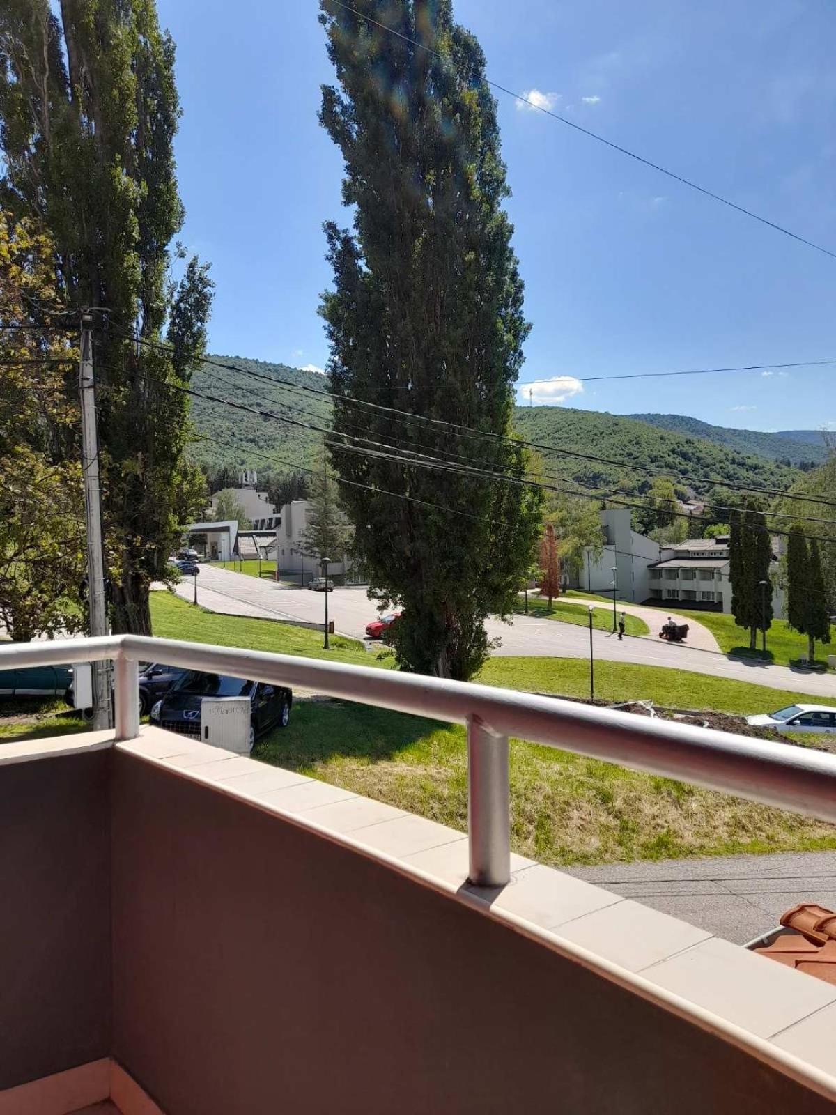 Konak Vila Mirkovic Sokobanja Buitenkant foto